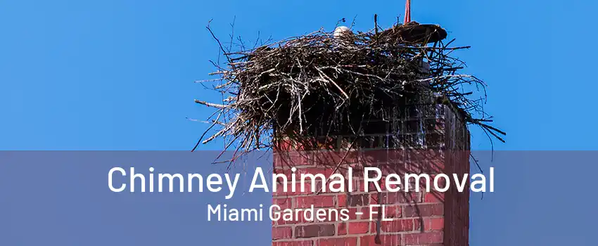 Chimney Animal Removal Miami Gardens - FL