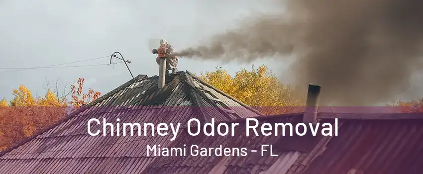 Chimney Odor Removal Miami Gardens - FL