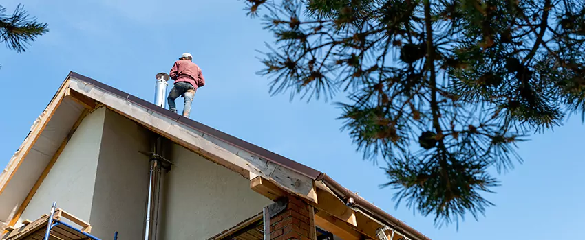 Birds Removal Contractors from Chimney in Miami Gardens, FL